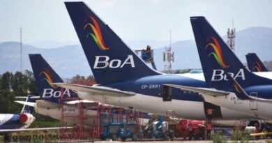 Boliviana de Aviación renovará su flota para abrir vuelos a Punta Cana