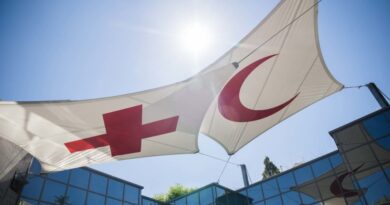 'Hackers' atacan a la Cruz Roja y roban los datos de medio millón de personas