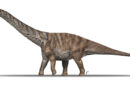 Describen una nueva especie de titanosaurio que habitó la actual región de los Pirineos hace unos 70 millones de años