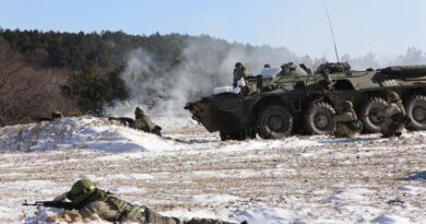 La Infantería de Marina rusa realiza ejercicios en el mar Negro y simulacros de defensa de las costas de Crimea