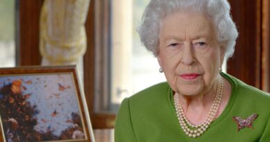 La reina Isabel II, enferma con coronavirus, cancela sus audiencias por videoconferencia