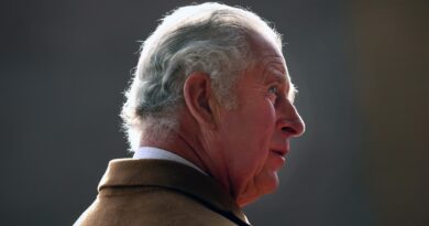 Reportan que el príncipe Carlos se reunió con la reina Isabel II dos días antes de dar positivo por covid-19