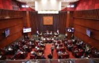 Senadores quieren Congreso Nacional interpele a funcionarios por tema AFP