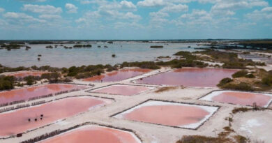 Visita las Salineras de Xtampú y sus lagunas de color rosa en Yucatán