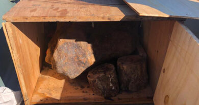 Un meteorito que cayó hace unos 4.000 años en Argentina es incautado en Uruguay y su valor sería de 1 millón de dólares