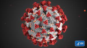Los otros tipos de coronavirus, ¿pueden generar protección contra el COVID-19?
