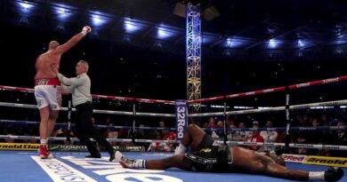 Tyson Fury noquea a Whyte en seis rounds y retiene el cetro