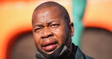 ANC indignado después de que el líder del caucus de Ekurhuleni, Masina, sea sacado del consejo
