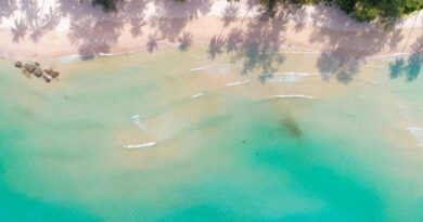 Punta Cana: Secrets Tides, el nuevo hotel de Apple Leisure Group para el 2023