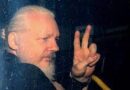 Comisaria de Derechos Humanos de Europa pide la no extradición a EE.UU. de Julian Assange a la ministra británica responsable de la decisión
