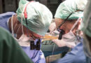 Trasplantan por primera vez en la historia un hígado humano conservado fuera del cuerpo durante 3 días