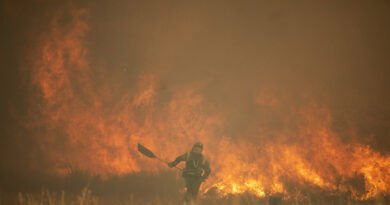 Un incendio forestal en Sierra de la Culebra es ya uno de los peores del siglo XXI en España