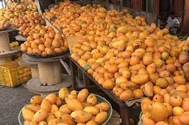 Esperan exportación de mangos banilejos por US$40 MM