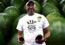 ASOPRAMA busca abrir mercados en EEUU para posicionar aguacate de Ocoa en consumidores dominicanos y latinos