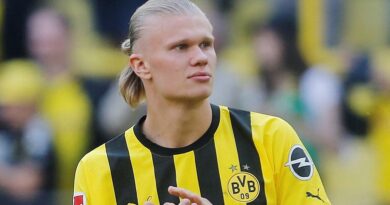 El Borussia Dortmund encontró el reemplazante de Haaland: les costó más de 30 millones