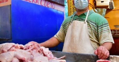 Avicultores de Santiago aseguran importación de pollos no bajará los precios
