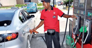 Precios de todos los combustibles permanecerán congelados del 2 al 8 de julio