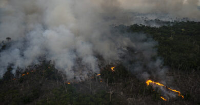 La Amazonía brasileña registró en junio el mayor número de incendios de los últimos 15 años