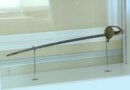 La mítica espada del libertador Simón Bolívar estará en la toma de posesión de Gustavo Petro en Colombia
