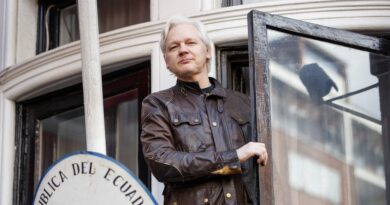 Assange presenta una apelación para evitar ser extraditado a EE.UU.
