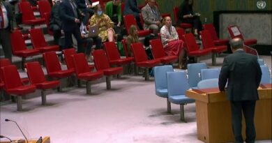 El Consejo de Seguridad de la ONU aborda la situación en torno a la central nuclear de Zaporozhie