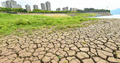 La ola de calor "más fuerte" y larga desde 1961: China sufre temperaturas extremas en medio de una sequía histórica