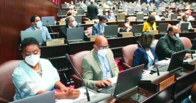 29 proyectos aprobados en Cámara de Diputados esperan cumplir trámites constitucionales