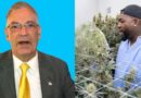 Candidato a senador estatal pide a David Ortiz abandonar negocio de marihuana por mensaje negativo a juventud de RD y el mundo
