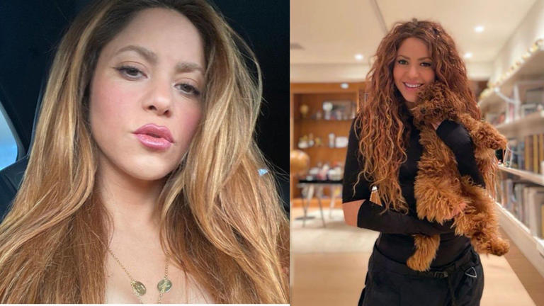 Shakira no solo canta: estas son las otras habilidades que la hacen la mujer perfecta