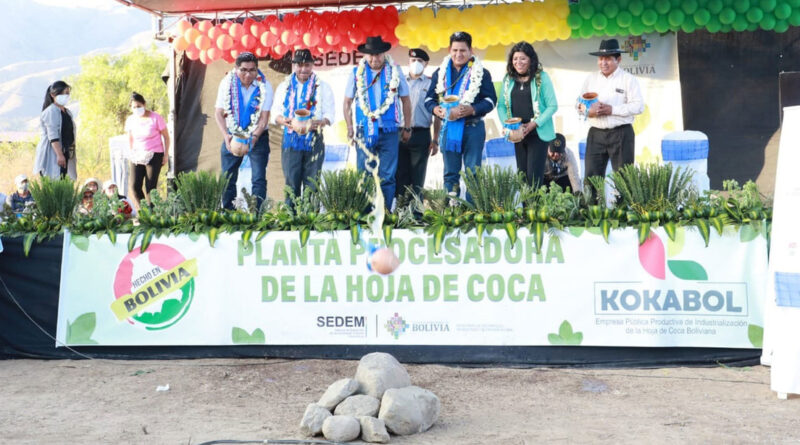 Bolivia inicia la construcción de una innovadora planta industrial que producirá dentífrico de hoja de coca