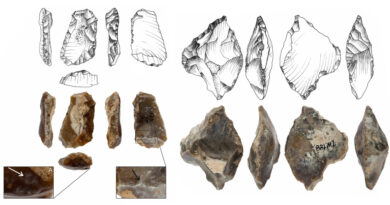 Encuentran los rastros de una especie humana extinta en el sur de Polonia