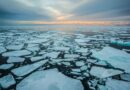 Estiman que en 2040 el Ártico tendrá el primer verano sin hielo