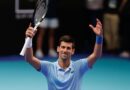 Una nueva especie de insecto llevará el nombre del tenista Novak Djokovic