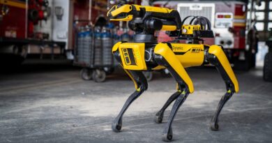Boston Dynamics demanda a Ghost Robotics por infracciones a varias patentes del perro robot