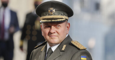 Reportan que al jefe de las FF.AA. de Ucrania le han pedido reducir su presencia pública