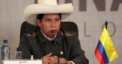 Pedro Castillo pide a la CIDH que interceda por sus derechos políticos