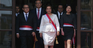 Análisis: Dina Boluarte apuesta por un gabinete técnico y sin políticos de peso para liderar Perú
