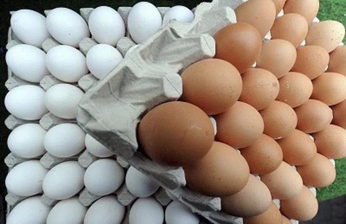 República Dominicana exporta 40 millones de huevos mensuales