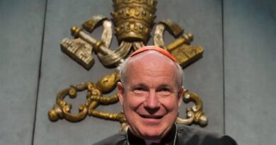 Interna en el Vaticano: un cardenal atacó el libro del secretario de Benedicto XVI y lo catalogó como una “indiscreción indecorosa”