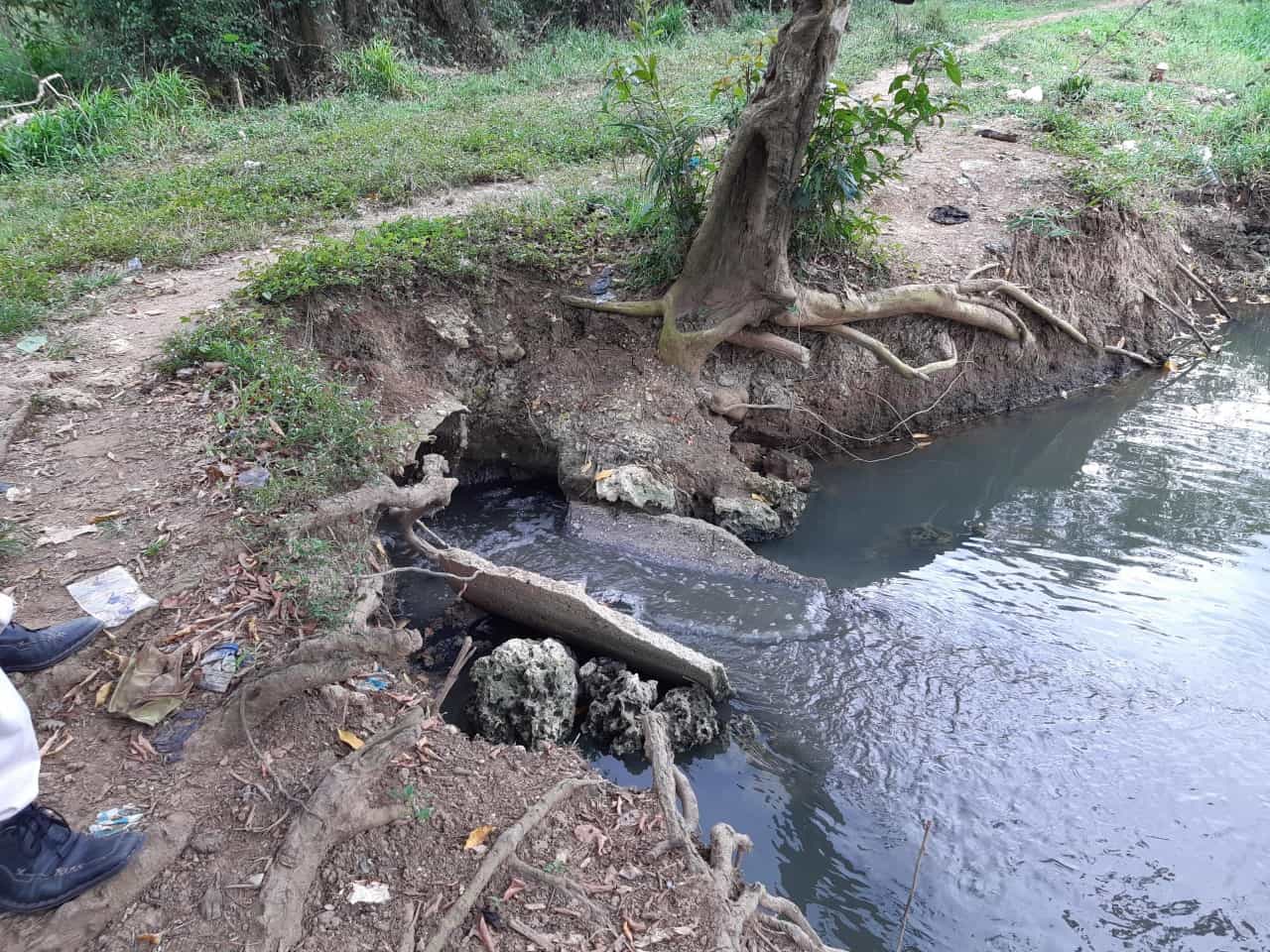 Plantas de tratamiento de Villa Liberación son focos de contaminación