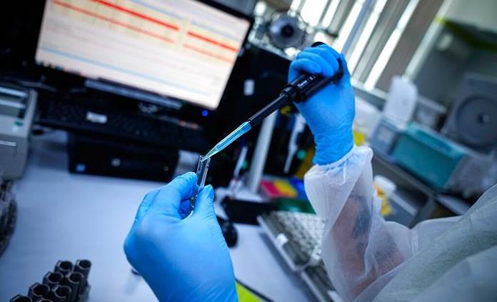 Investigadores identifican 26 compuestos naturales que bloquean la COVID-19