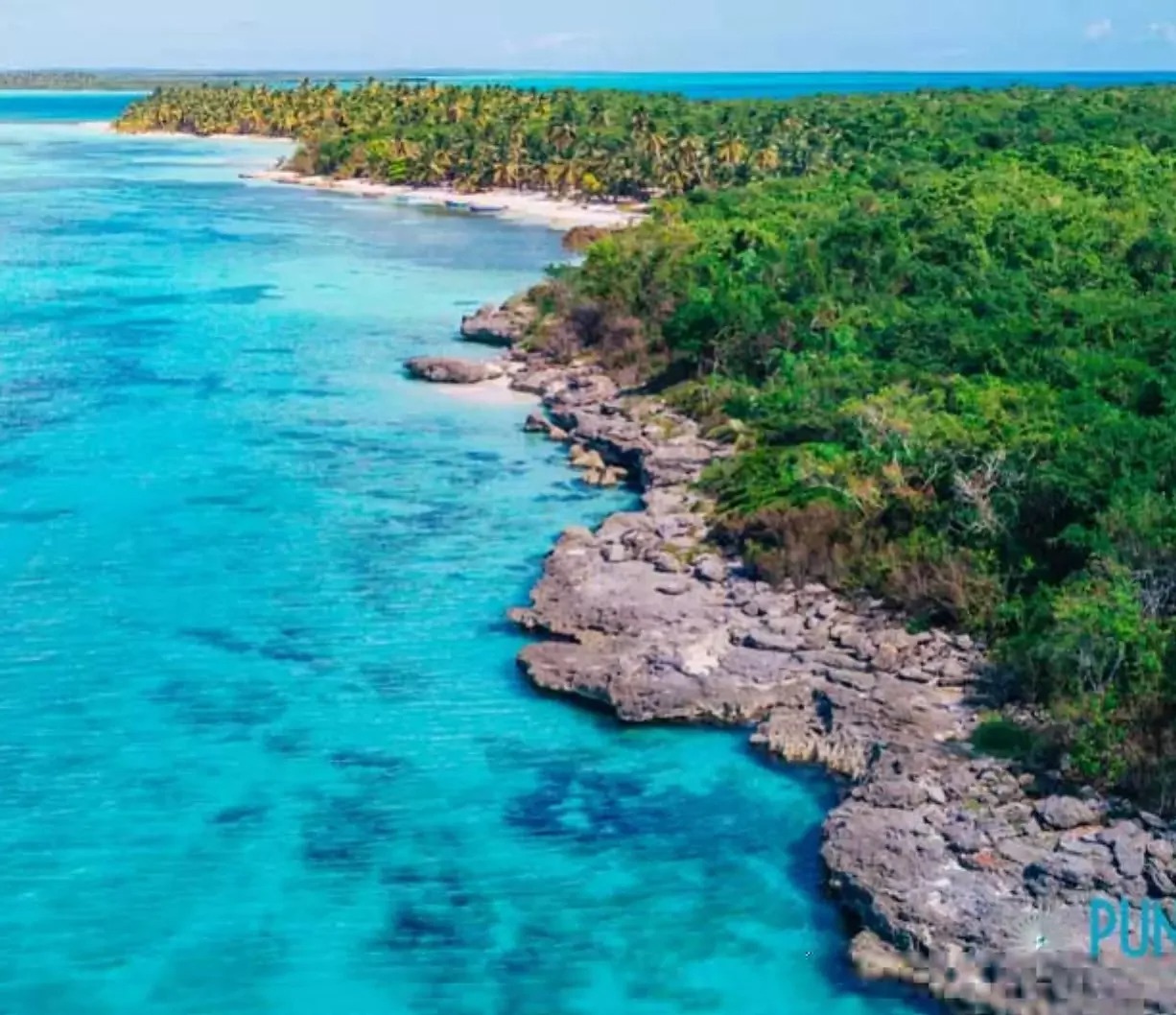 Vusa, una plataforma para hacer turismo que facilitará visitas a los parques nacionales