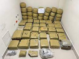 Ocupan 573 libras de marihuana en Santiago; buscan dos personas