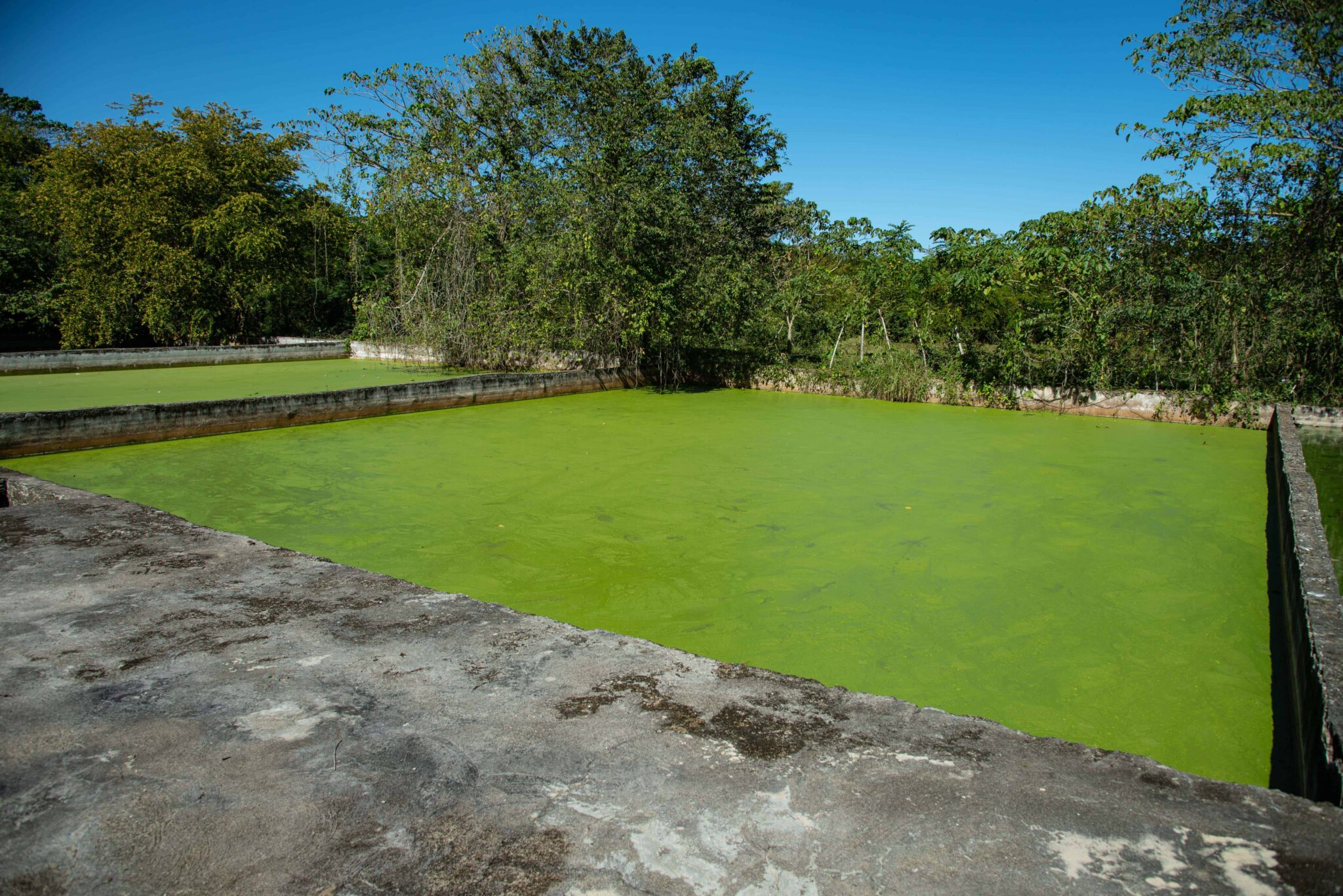 Más de 200,000 afectados por falta de terminación de plantas de tratamiento en Villa Liberación