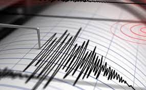 Se registra temblor de tierra de magnitud 4,8