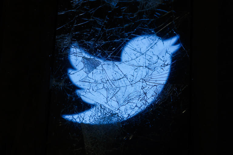 Suscripción premium de Twitter: ¿Cuánto cuesta y quiénes podrán acceder a esta?