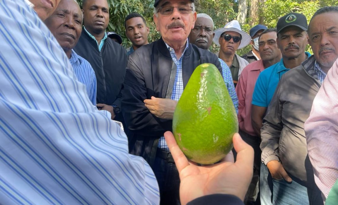 Danilo Medina realiza visita a productores de aguacate en Azua