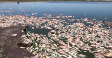 Detectan en un río de Argentina la concentración más alta de agrotóxicos a nivel mundial