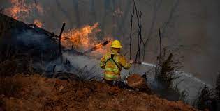 Diez arrestados por los incendios forestales en Chile, que han dejado ya 24 muertos