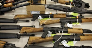 Registran el récord de armas confiscadas en los aeropuertos de EE.UU.